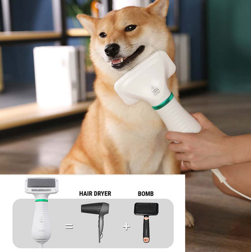 2-in-1 Pet Drying Brush – Hair Dryer Comb for Dogs & Cats
