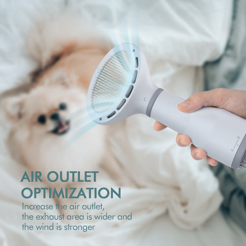 2-in-1 Pet Hair Dryer & Slicker Brush – Professional Grooming Tool for Dogs & Cats