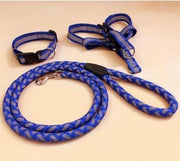 Premium Dog Leash – Durable Everyday Walking Lead — 7