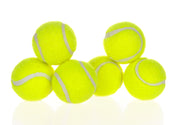 Automatic Dog Ball Launcher — 12