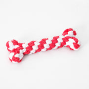 Durable Dog Bone Toy – Interactive Chew & Dental Toy — 10
