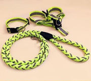Premium Dog Leash – Durable Everyday Walking Lead — 2