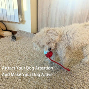 360° Smart Interactive Pet Ball – Automatic Rolling Toy for Dogs & Cats — 8