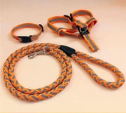 Premium Dog Leash – Durable Everyday Walking Lead — 6