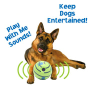 Dog Molar Chew Toy – Interactive Dental Cleaning Toy — 5