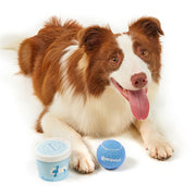 Interactive Dog Tennis Ball Toy – Durable Outdoor Fetch Toy — 8