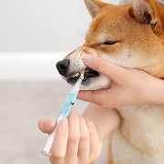 Pet Dental Care Kit – Teeth Cleaning & Oral Care Pen for Dogs & Cats — 1