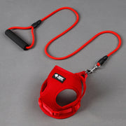 Dog Leash & Collar Set – Adjustable Walking & Training Kit — 3