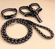 Premium Dog Leash – Durable Everyday Walking Lead — 5