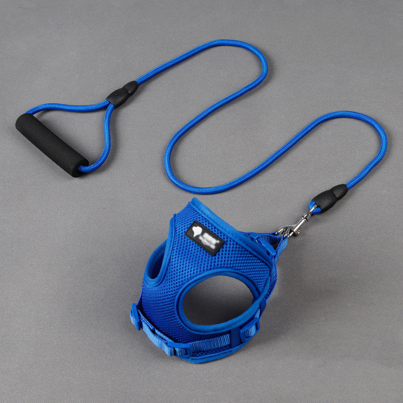 Dog Leash & Collar Set – Adjustable Walking & Training Kit