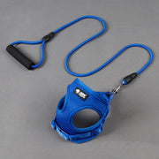 Dog Leash & Collar Set – Adjustable Walking & Training Kit — 1