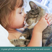 2-in-1 Slow Feeder Dog Bowl with Water Tray | Anti-Choke Pet Food Bowl | Detachable Non-Slip Feeding Bowl for Dogs & Cats — 6