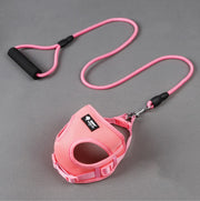 Dog Leash & Collar Set – Adjustable Walking & Training Kit — 4