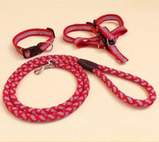 Premium Dog Leash – Durable Everyday Walking Lead — 4