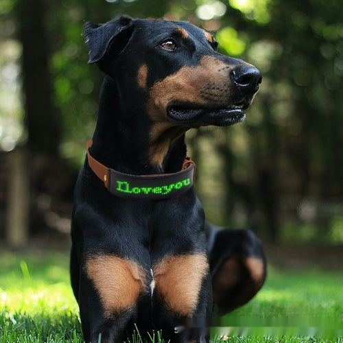 LED Display Dog Harness – Adjustable Reflective Safety Harness