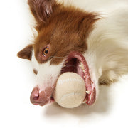 Interactive Dog Tennis Ball Toy – Durable Outdoor Fetch Toy — 2