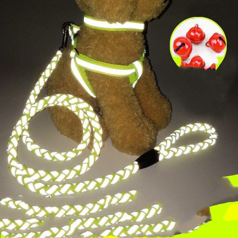 Premium Dog Leash – Durable Everyday Walking Lead