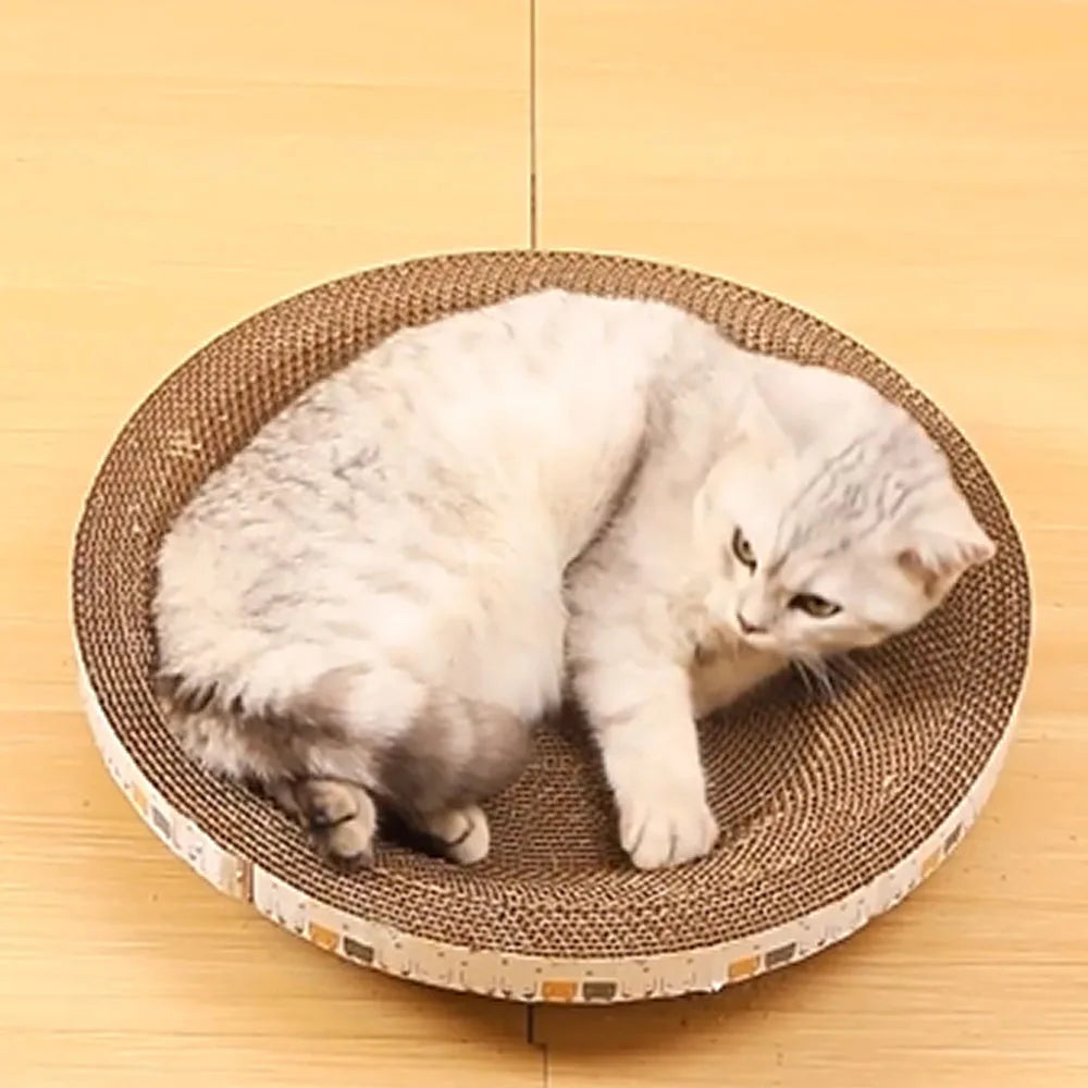 🐱 2-in-1 Cat Scratcher Lounge – Scratch, Stretch & Relax