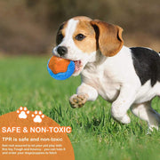 Floating Squeaky Dog Toy – Interactive Fetch Toy for Pool & Beach Fun — 2