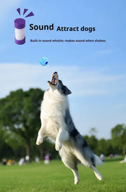 Interactive Squeaky Ball – Smart Sound Toy for Dogs & Cats — 3