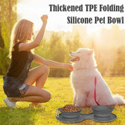 Foldable Double Pet Bowl – Portable Food & Water Bowl for Dogs & Cats — 7