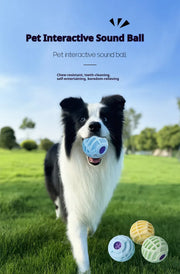 Interactive Squeaky Ball – Smart Sound Toy for Dogs & Cats — 6