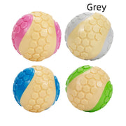 Interactive Dog Chew Toy – Durable Teeth Cleaning & Grinding Toy — 9