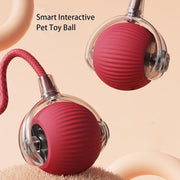360° Smart Interactive Pet Ball – Automatic Rolling Toy for Dogs & Cats — 3