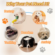 Corn Chew Toy – Interactive Toothbrush Toy for Aggressive Chewers — 5