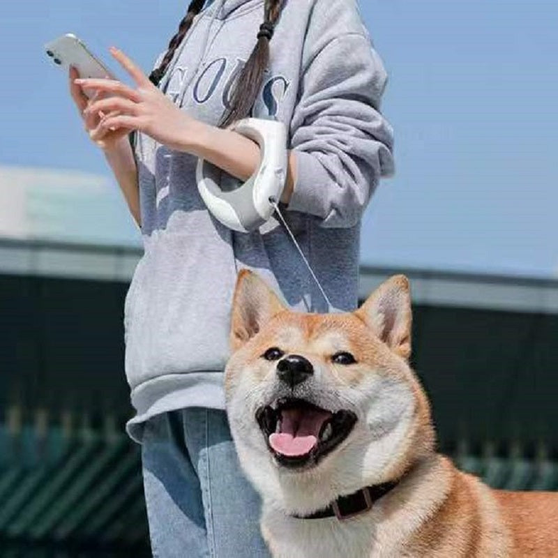 LED Retractable Dog Leash – Automatic Night Walking Lead